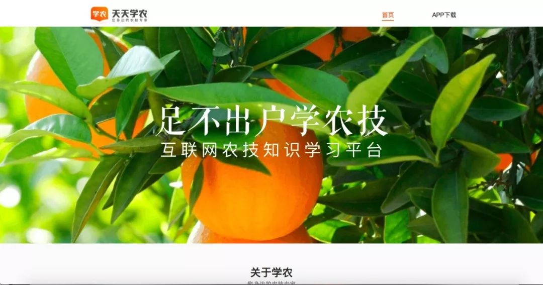 曾报价千万,Bee.com被曝易主;终端小五位收购三拼“积惠多”