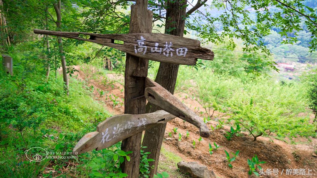 江西三清山风景区一日游攻略,江西圭峰山风景区攻略