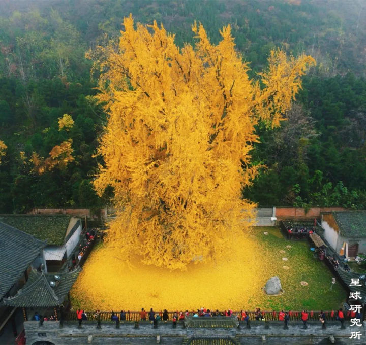 什么是西安事变,西安市本级是什么意思