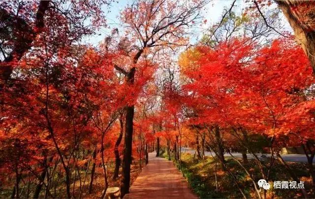 如果遇见你抖音版,如果遇见你2018浙江卫视