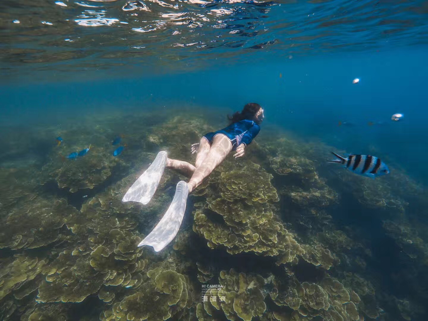 帕劳可以潜水吗,去帕劳玩是什么感觉