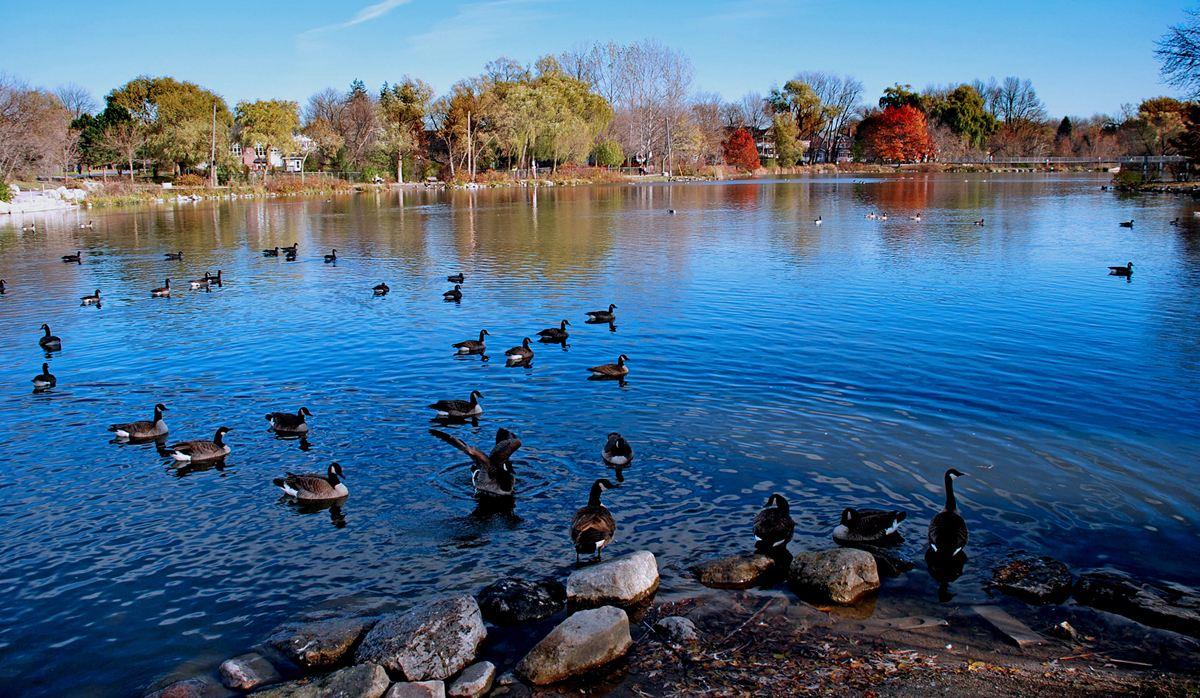 多伦多和温哥华，两个互相看不上眼的城市谁更好？