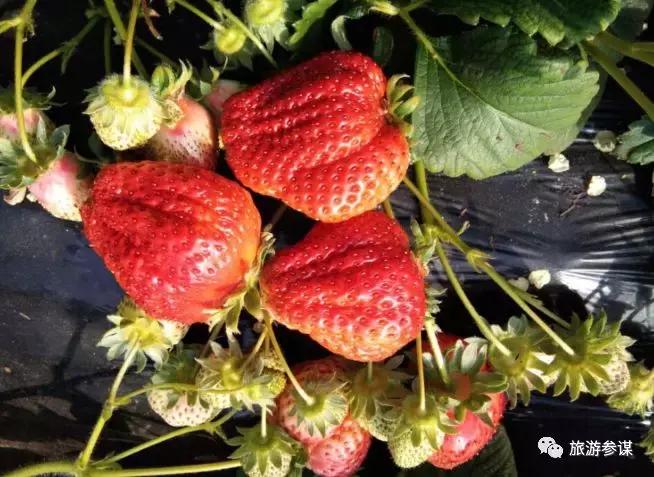 长春双阳区周边有什么好玩的,长春市双阳区冬天玩的地