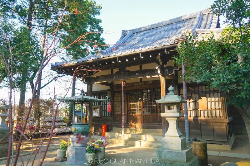 大部分人去日本,去日本东京怎样玩的才痛快