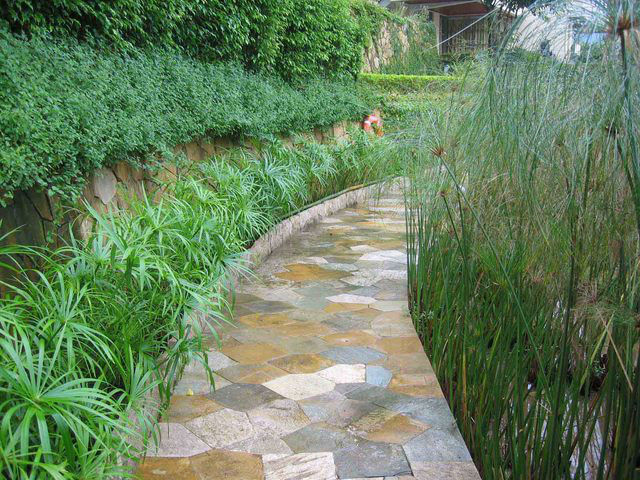 园林景观工程造价比例,园林工程造价和一般工程造价单价