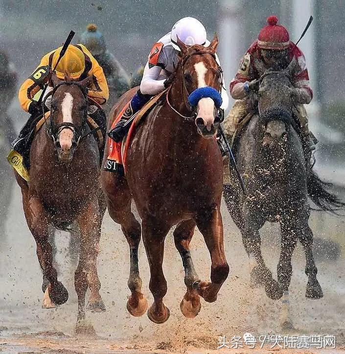 《美国之音》专访CHC主席张祖德：中国人做赛马一定不会输别人！