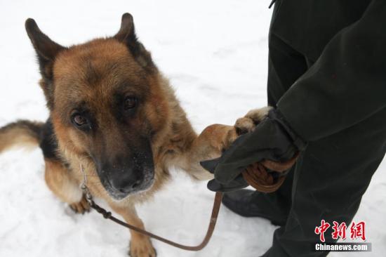 早安济南｜综合立体枢纽“无缝换乘”先行区交通亮点看过来