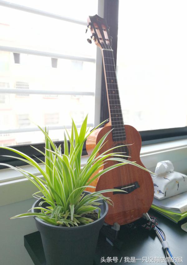 62平米的房最简单装修大概多少钱 (140平方米的房子简单装修5万)