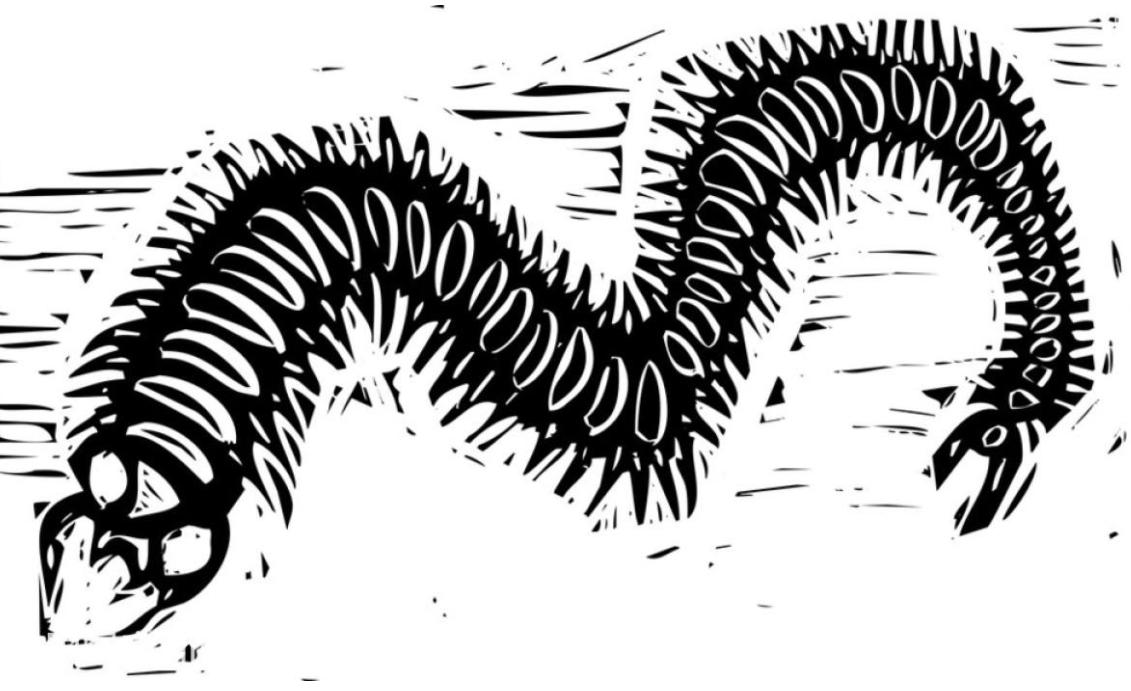 被蜈蚣咬了十多天还肿要不要紧,蜈蚣咬了怎么办最快最有效