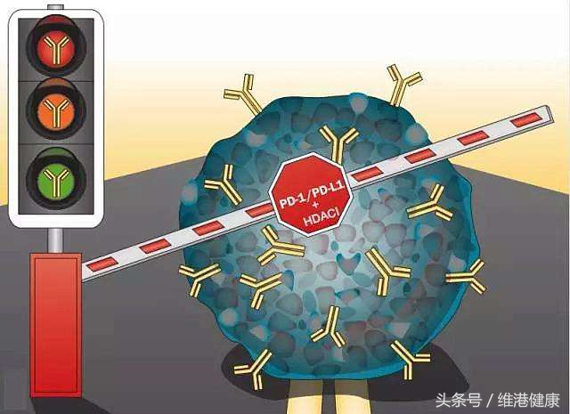 pd-1抗癌药物有没有效果,抗癌特效药各大医院卖不卖