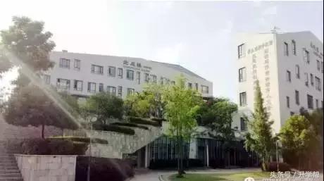 起底“德瑞系”——成外、实外、实外西区三校大比拼！