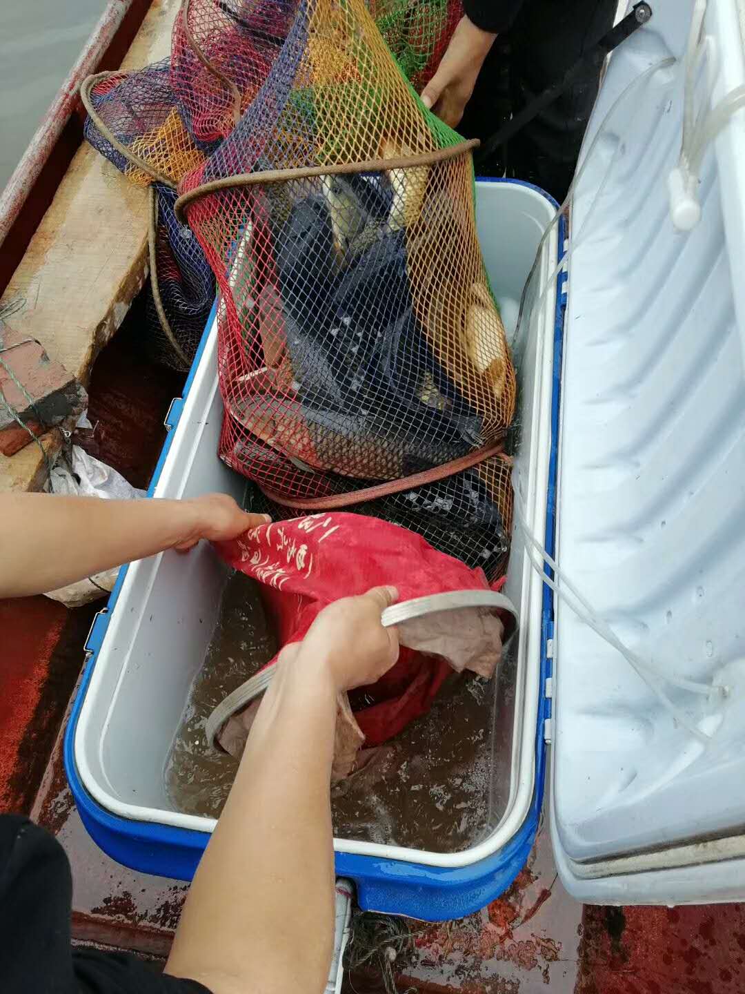 一年5万斤粮食打窝，每次出钓渔获破百，眉山大师“称霸”黑龙滩