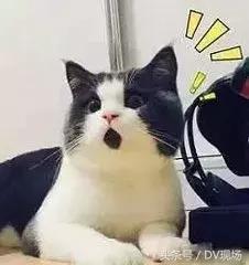 假冒洗衣粉,假冒洗衣粉鉴别