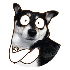 microsoftvisualstudio教程,visualstudio入门编程