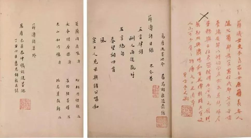 我就是薛涛，是颜色不一样的烟火