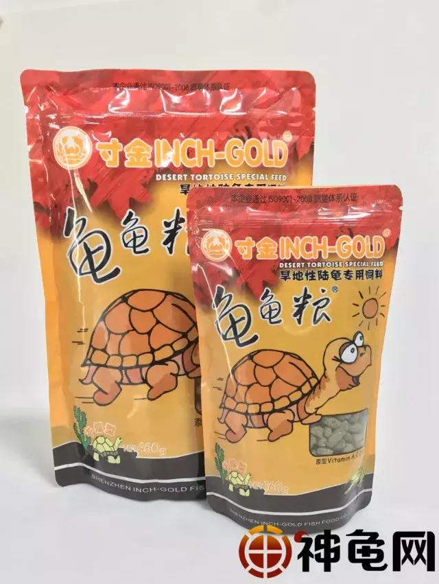 陆龟应该要怎么养,陆龟养多久可以吃东西