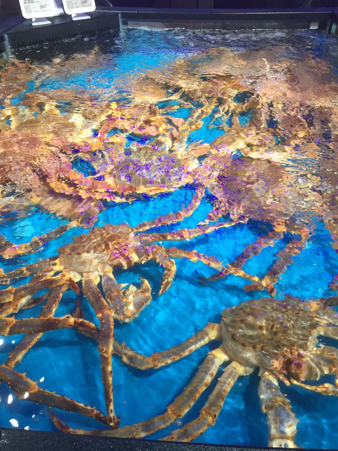 盒马鲜生西安海鲜,西安盒马鲜生哪个好吃