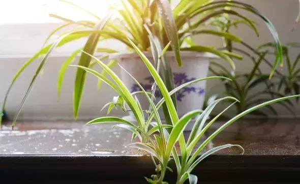 冬季供暖刚装修的房子怎么除甲醛,室内装修除甲醛用什么产品最可靠