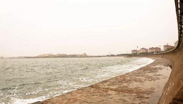 捡海鲜赶海,青岛哪里适合赶海捡海鲜