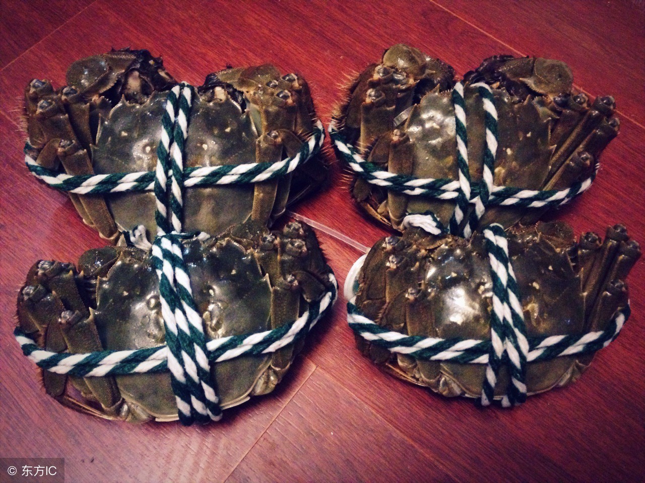 一吃海鲜吃辣就拉肚子,一吃海鲜拉肚子