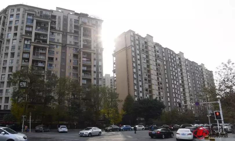 香港特色元素,香港特色元素有哪些