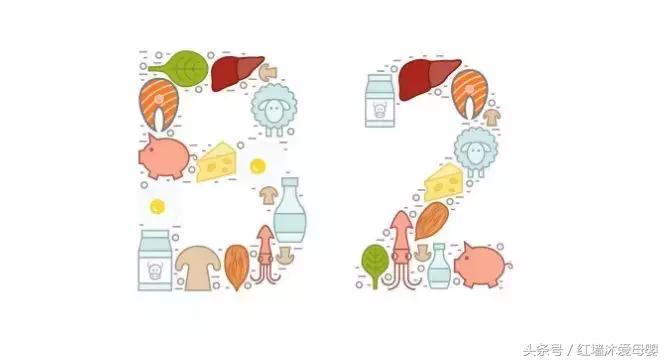 孕期指南免费,孕期指南大全