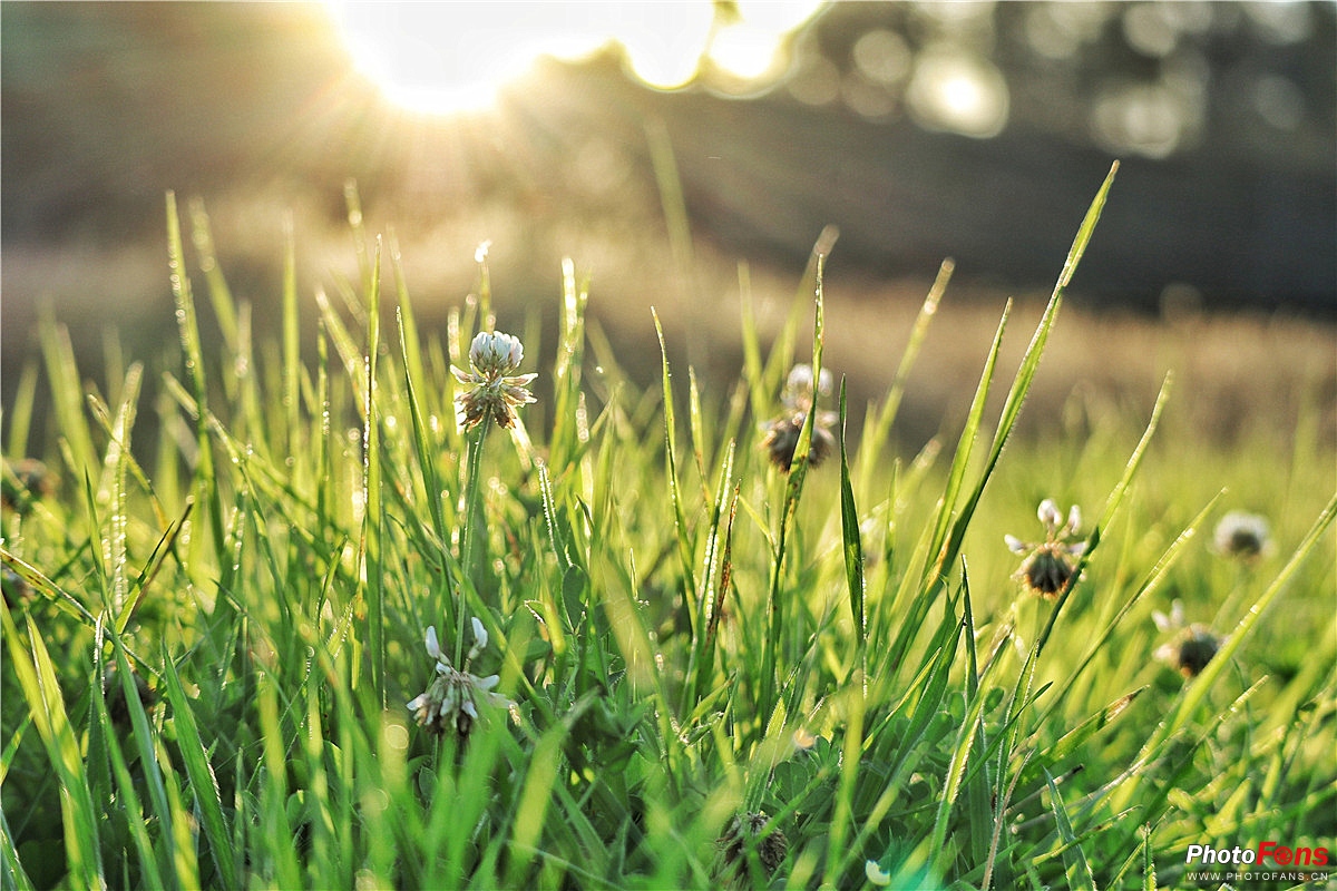 忘却时间的旅行佳能微单EOSM100轻摄新西兰