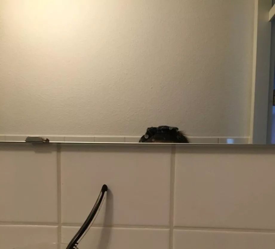 凡是身高170以下的旅行者，都在这个国家感受过深深的恶意！