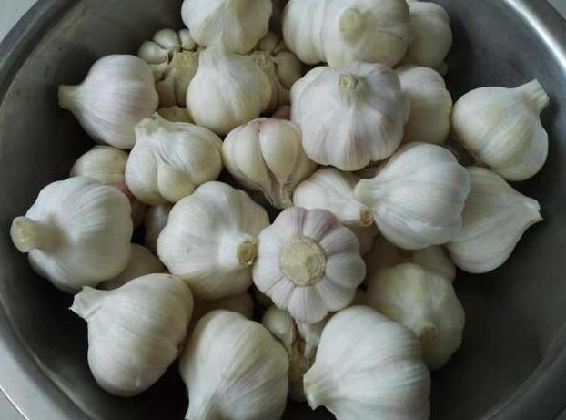 新蒜怎么腌糖蒜好吃,新蒜上市教你做糖醋蒜