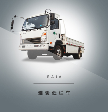 国内各大车企、品牌、车型全知道（162）——成都雅骏汽车