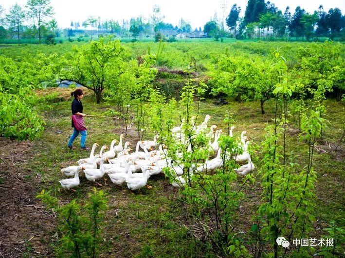 汶川大地震志愿者影集,汶川十年影像