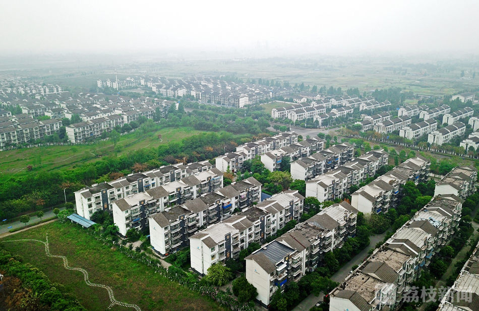 十年·绵竹印象｜地震虽然来过，玫瑰还是开了