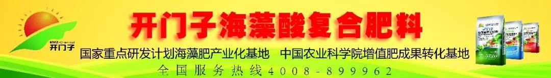 沙糖桔十元八斤,沙糖橘滞销