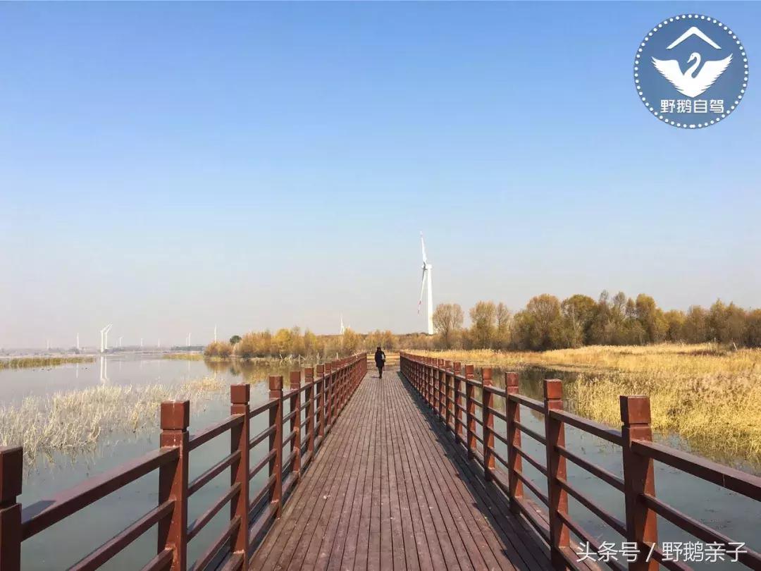 每台大风车造价多少钱,一个大风车造价需要多少钱