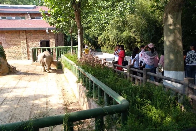 真心点个赞！省外侨办对口帮扶这个举动很感人