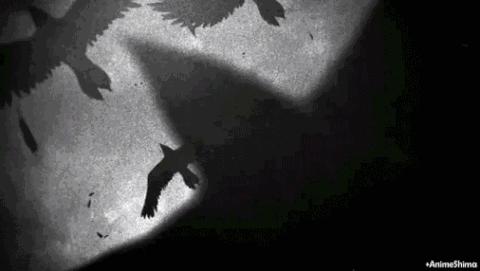 鸟和人类基因相似度多少,鸟和猫的智商哪个高