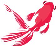 财新私房课丨陈瑛：修正的力量