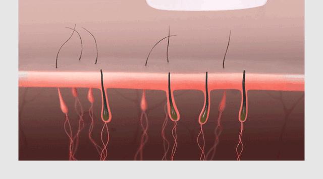洁面脱毛仪,洁面脱毛仪测评