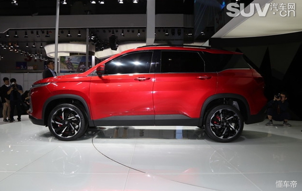 惊喜不断特价不断,惊喜不断喜讯连连