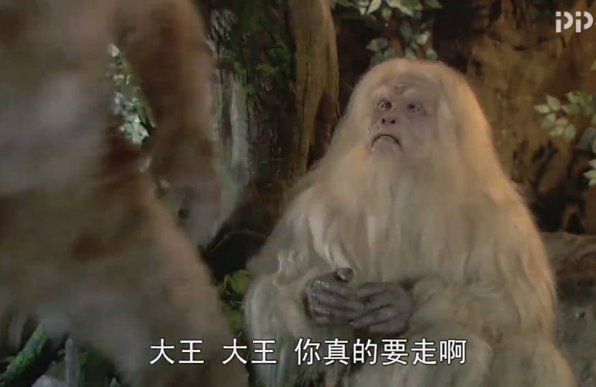 孙悟空当年跟菩提祖师多学些本事,孙悟空从菩提祖师处学到什么神通