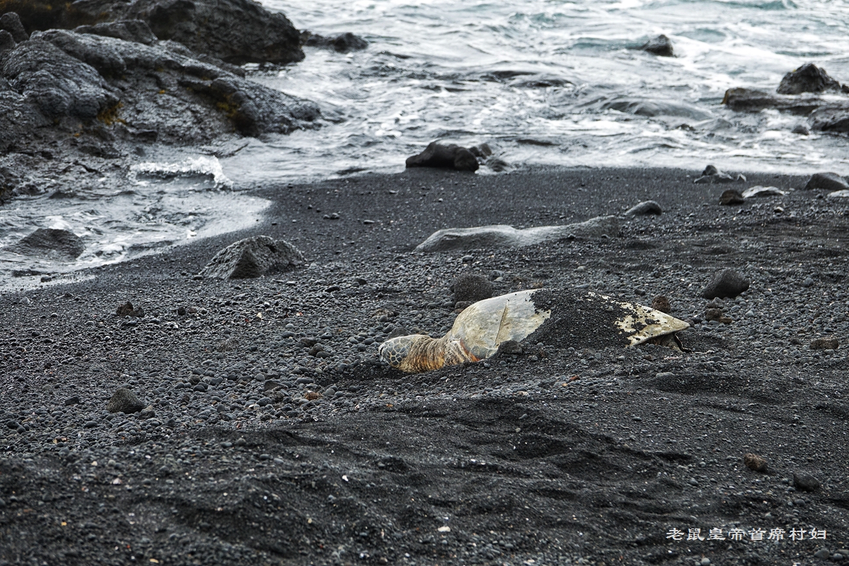 夏威夷最独特的沙滩,夏威夷最美海滩排行榜前十名