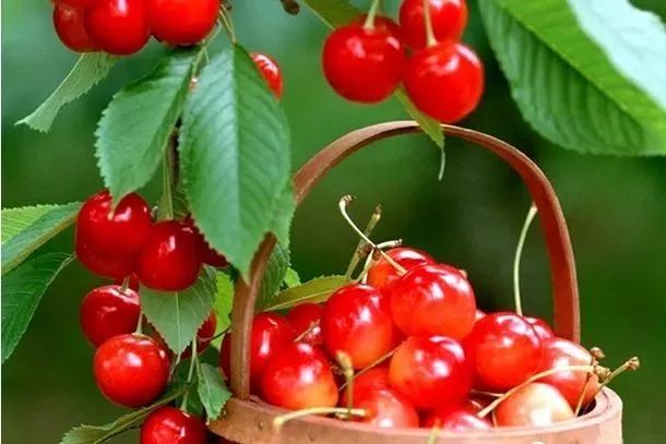 孟津周边一日游的绝佳去处,孟津秋季游必去的地方