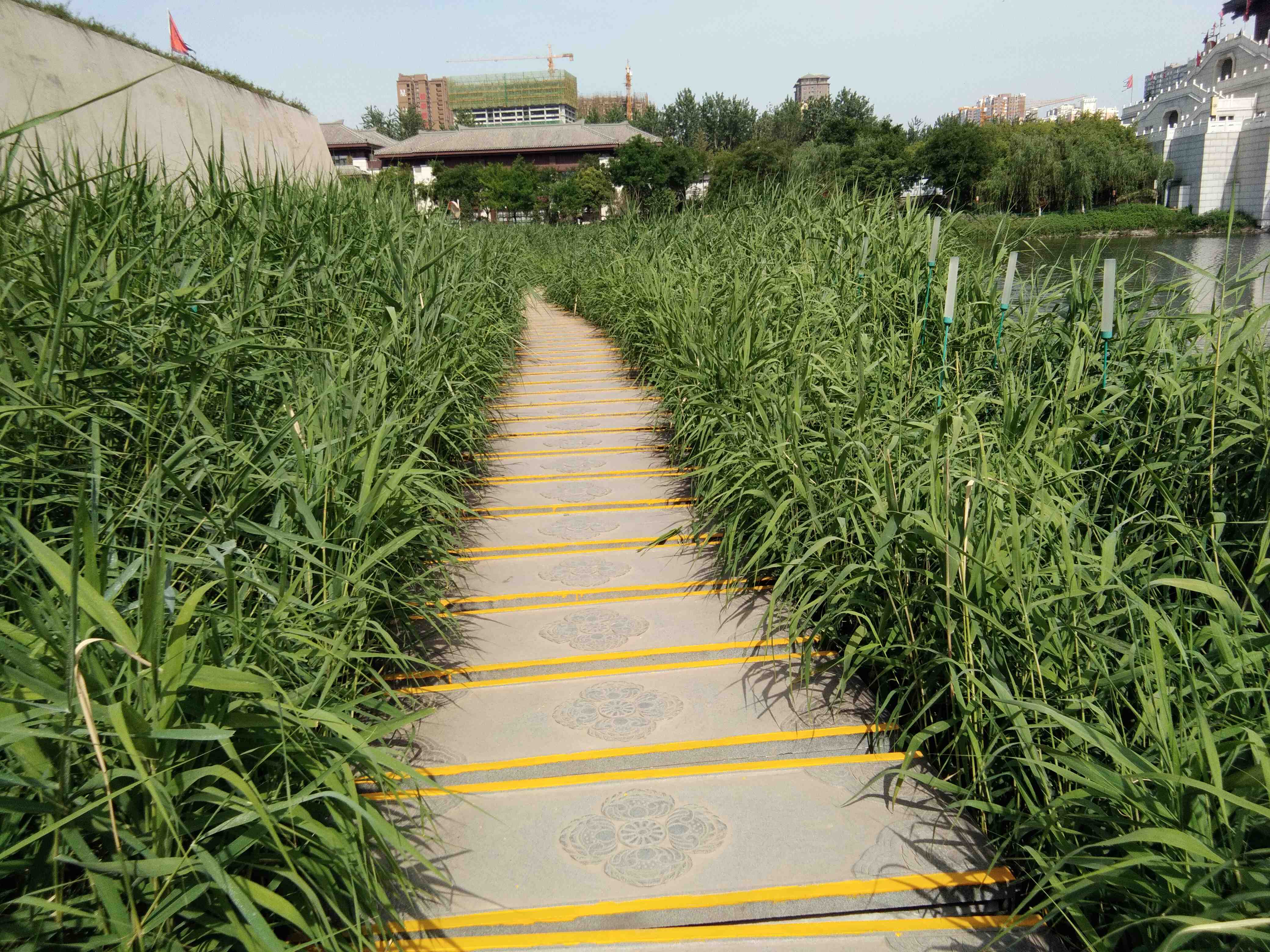 脚踏汉城湖公园全程!感受汉武辉煌!