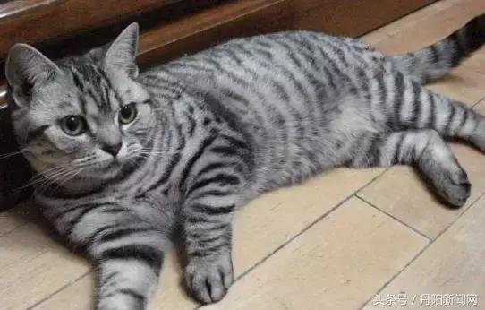 丹阳月入2万,丹阳月薪5000什么水平