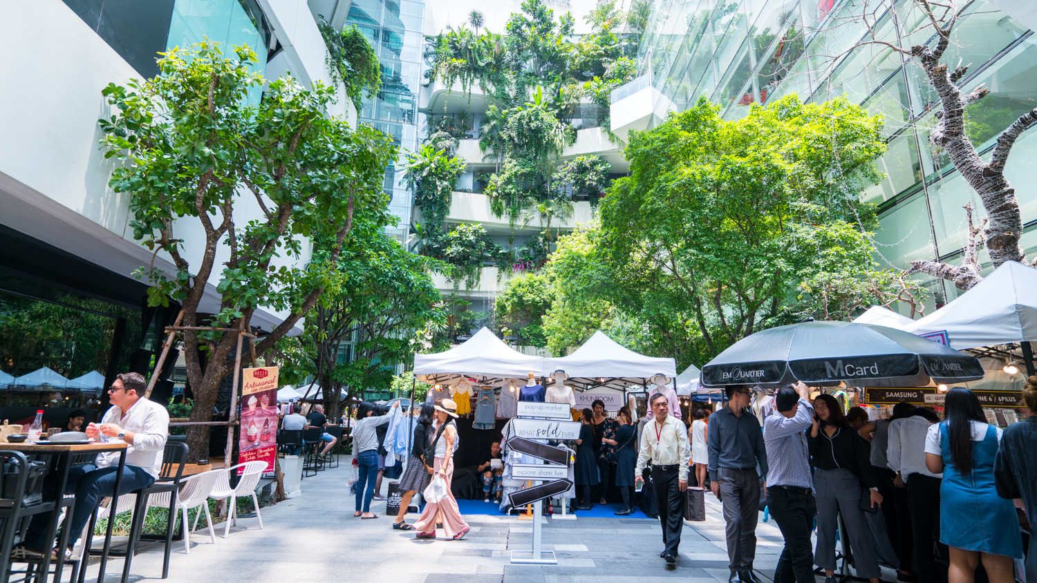 泰国旅游曼谷清迈攻略,泰国清迈的旅游攻略