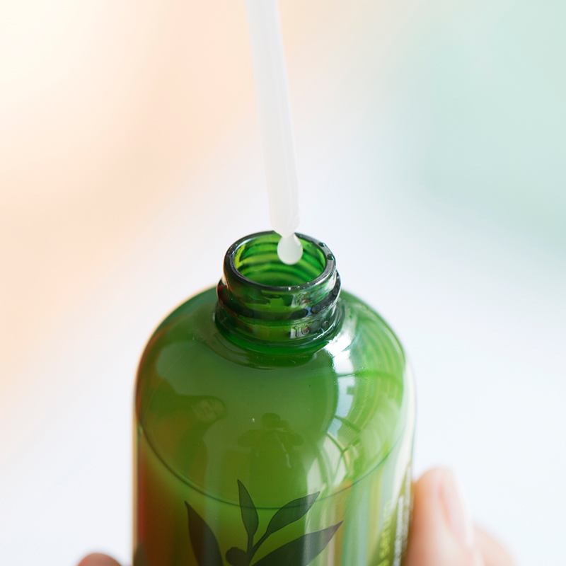 悦诗风吟绿茶森林,悦诗风吟冬季