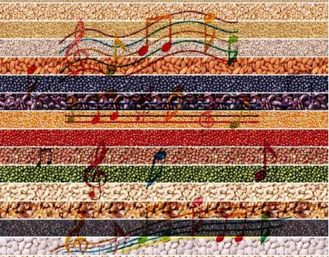 会唱歌的公路原理,会唱歌的公路视频