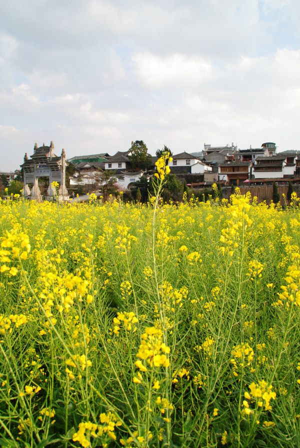 “情不知所起,一往而深”:腾冲旅游吃住行攻略拿走不谢