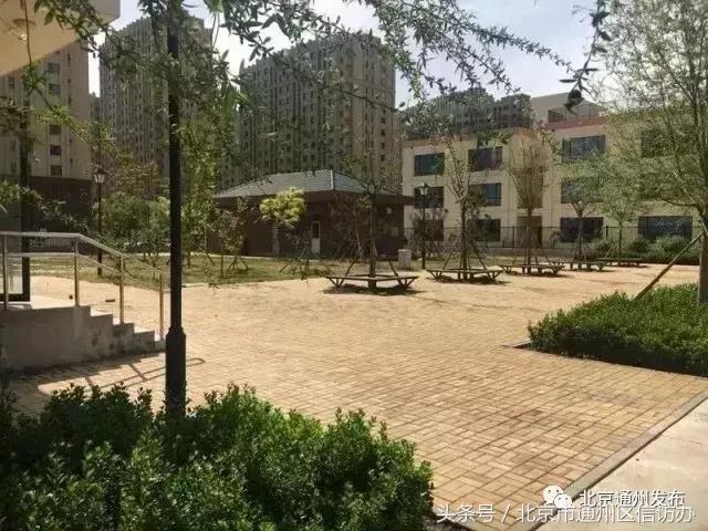 新增6390个公办学位,通州新开的学校