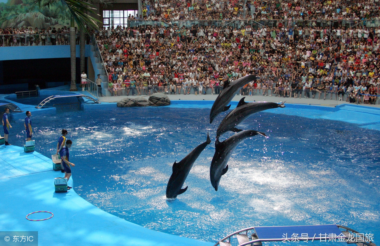 王者荣耀夏令营视频,王者荣耀夏令营活动免费领